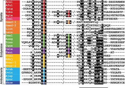 Evolution and Comparative Physiology of Luqin-Type Neuropeptide Signaling